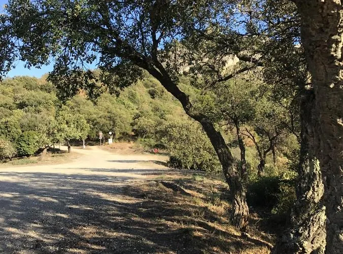 Roulotte Fenouillet Luksustelt