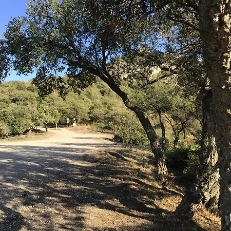 Roulotte Fenouillet Luxury tent