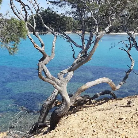 Roulotte Fenouillet Lüks kamp alanı *