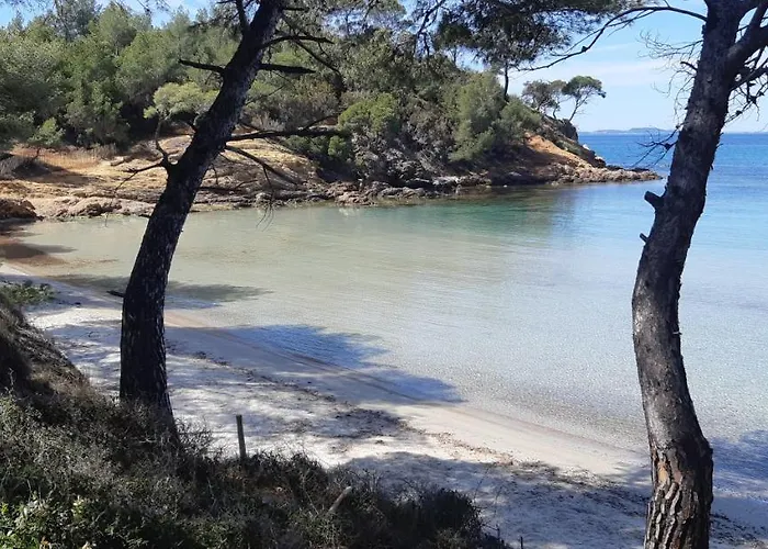 Lyxtält Roulotte Fenouillet *