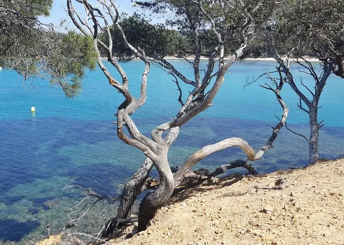 Roulotte Fenouillet Розкішний намет *